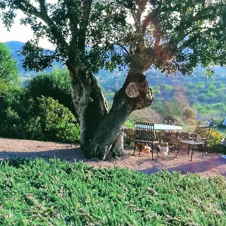 Lodge Serra Llevant *