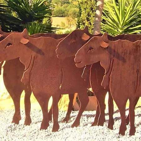 Serra Llevant Son Macia (Mallorca)