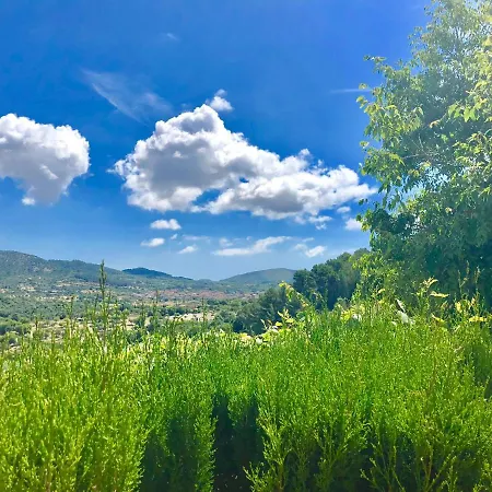 Serra Llevant * Son Macia (Mallorca)