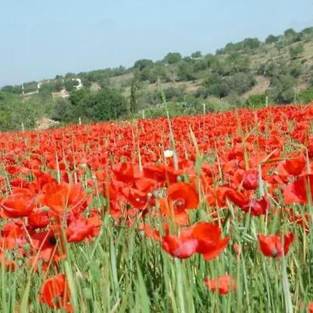Serra Llevant Son Macia (Mallorca)