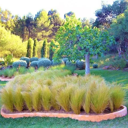 Serra Llevant Lodge Son Macia (Mallorca)